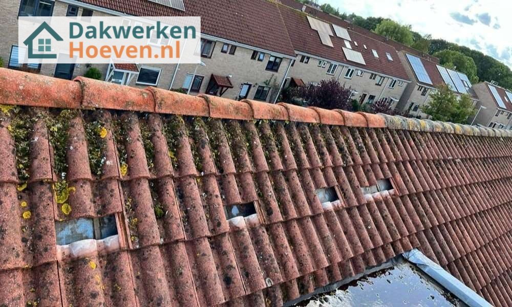 Een dakrenovatie bij oud pannendak in Hoeven